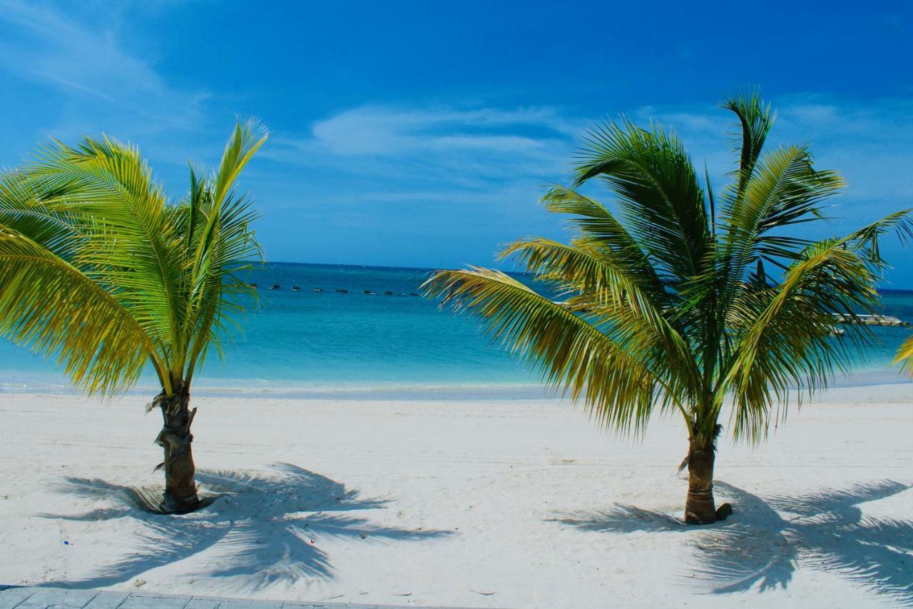 The Marina Villa De Sonja Ocho Rios Dış mekan fotoğraf